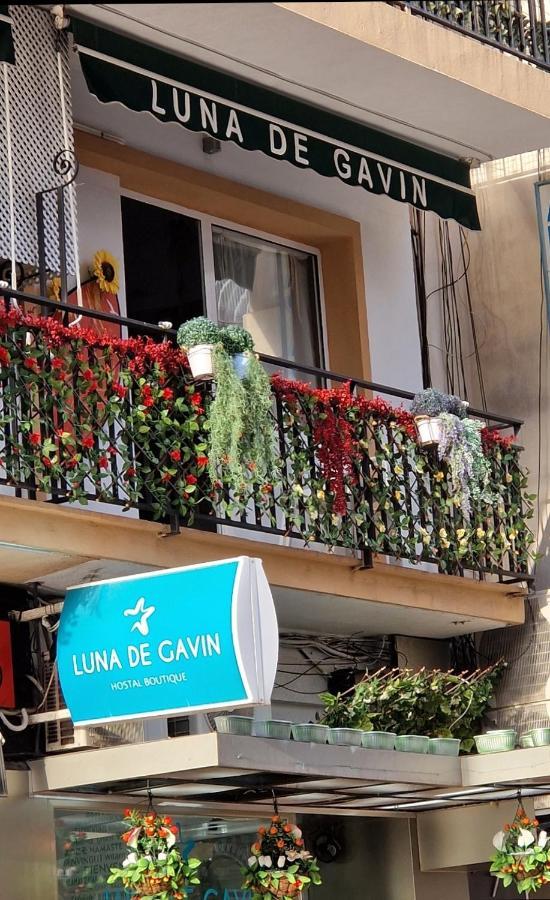 Hostal Boutique Luna De Gavin Otel Cullera Dış mekan fotoğraf